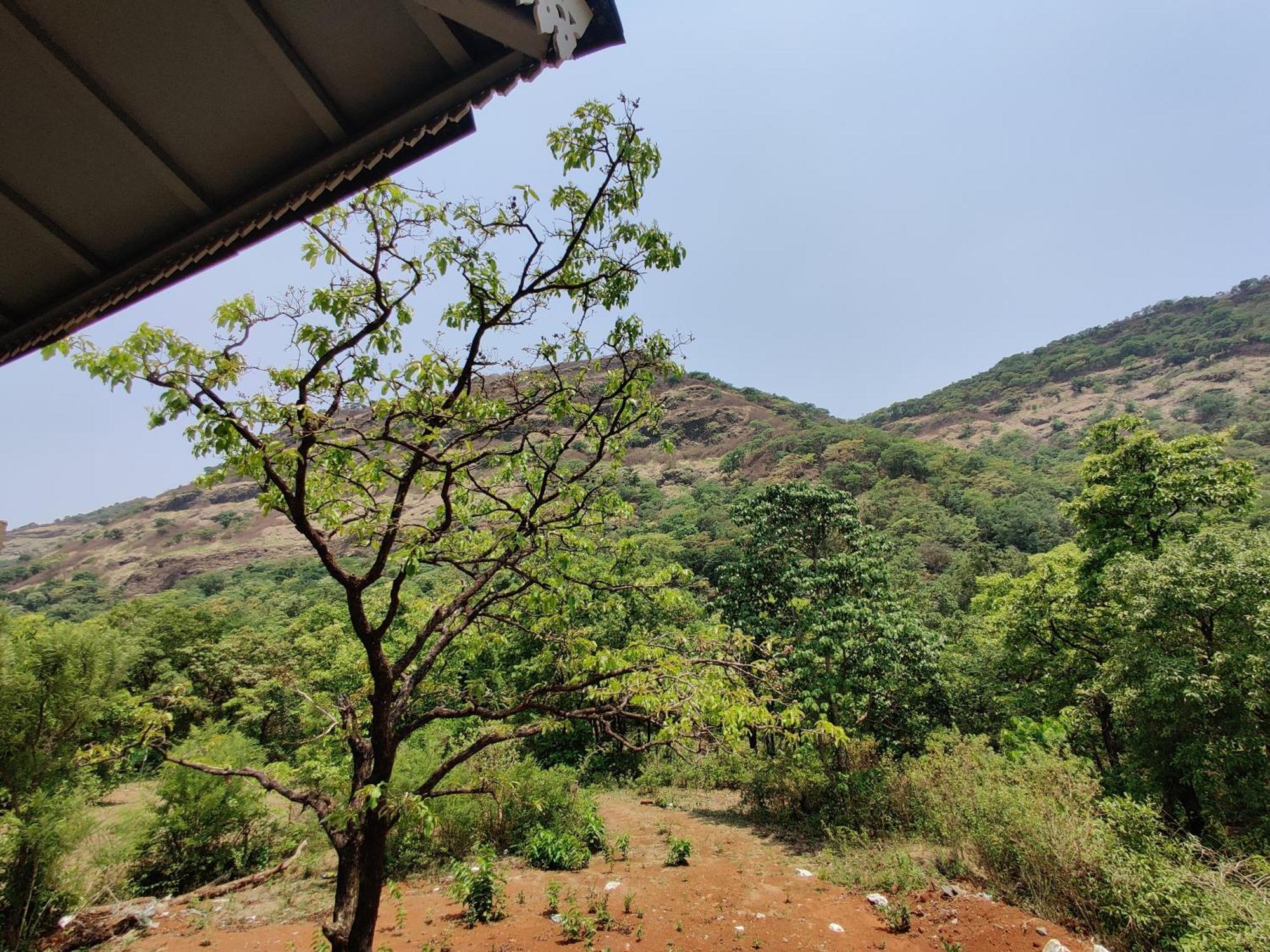 The Marigold Pune